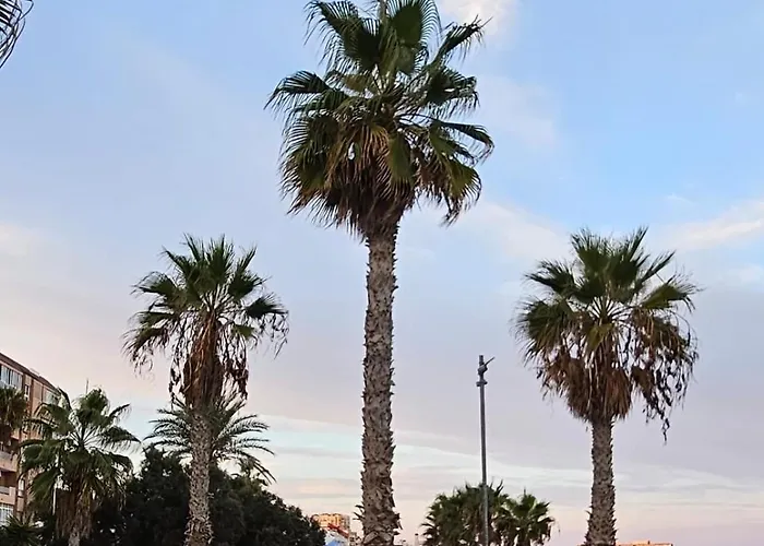 Lambada Flat Am Torrevieja